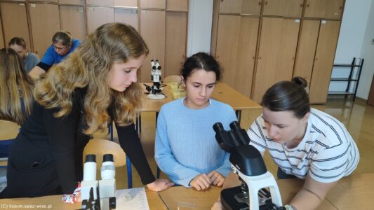 FESTIWAL NAUKI - WARSZTATY PRZYRODNICZE