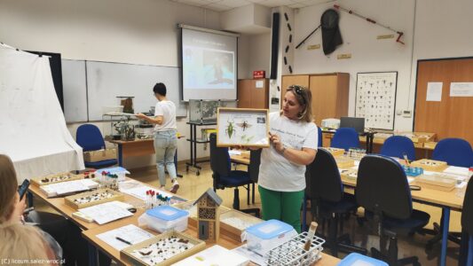 FESTIWAL NAUKI - WARSZTATY PRZYRODNICZE