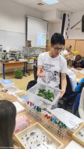 FESTIWAL NAUKI - WARSZTATY PRZYRODNICZE