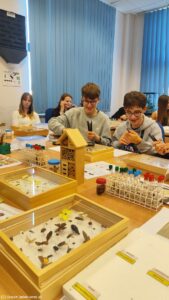 FESTIWAL NAUKI - WARSZTATY PRZYRODNICZE