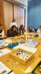 FESTIWAL NAUKI - WARSZTATY PRZYRODNICZE