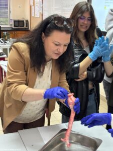 ERASMUS Job Shadowing