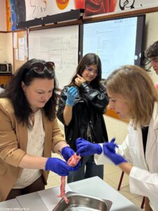 ERASMUS Job Shadowing