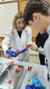 ERASMUS Job Shadowing