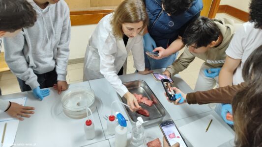ERASMUS Job Shadowing